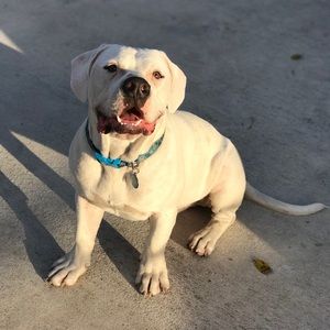 Meet your Posher, Aliyah